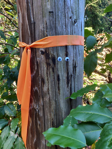 State Park «Bridle Trails State Park», reviews and photos, 5300 116th Ave. N.W., Kirkland, WA 98033, USA