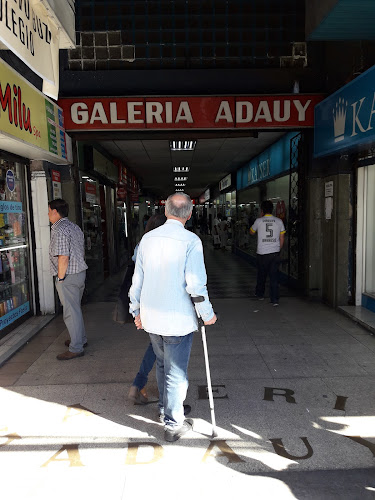 Galeria Adauy - Concepción