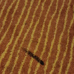 Photo n°3 de l'avis de André. fait le 05/10/2022 à 13:20 sur le  MAXX by Steigenberger Deidesheim à Deidesheim