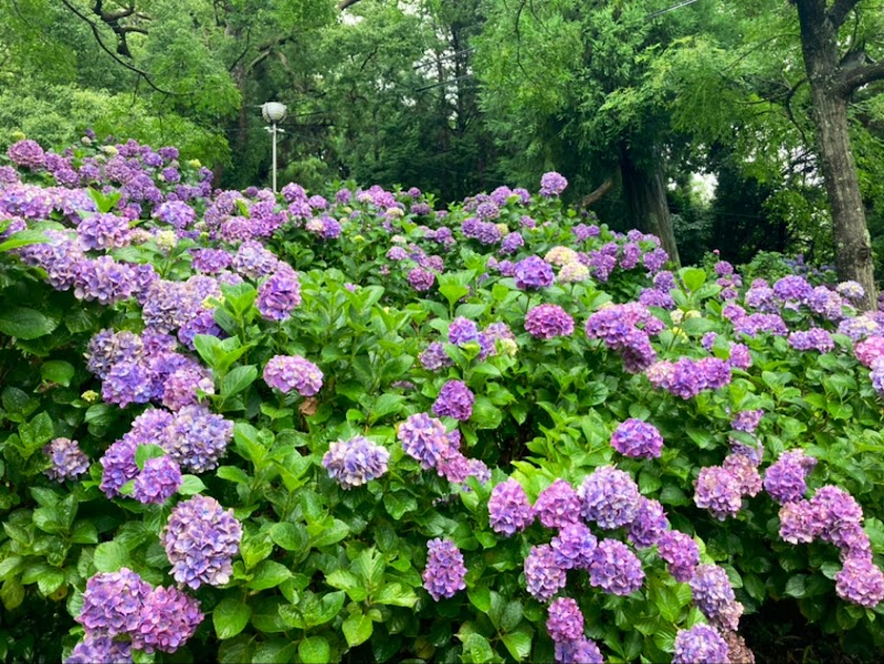 秋葉公園 静岡県牧之原市勝俣 公園 公園 グルコミ