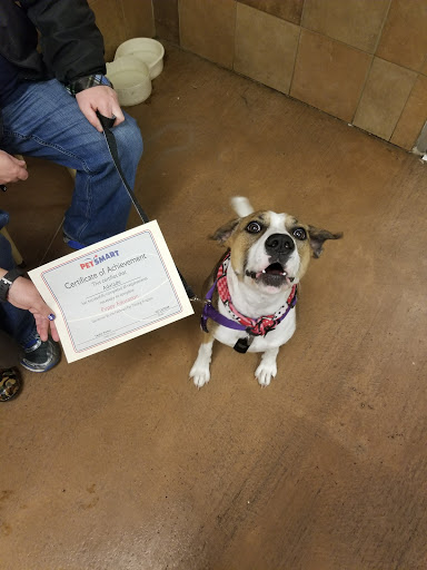 Pet Supply Store «PetSmart», reviews and photos, 860 NE Mall Blvd, Hurst, TX 76053, USA