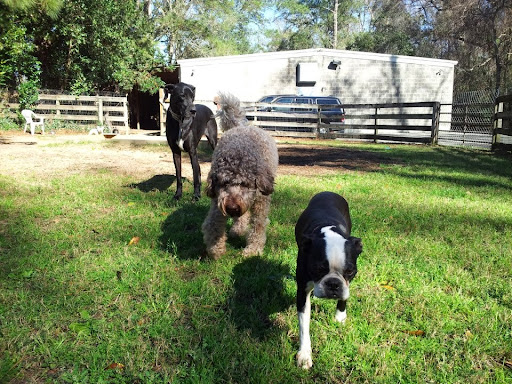 Tallahassee Regional Animal Hospital image