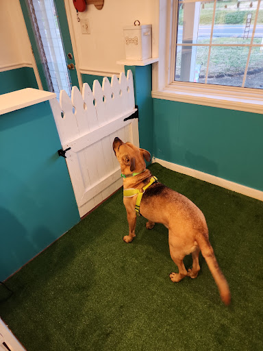 Kamp K-9 Grooming Salon