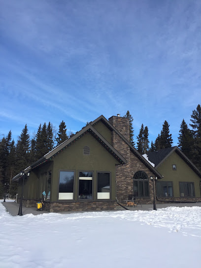 New Clear Window Cleaning