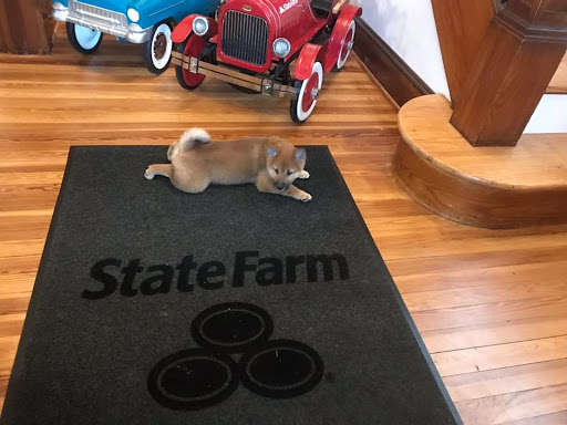 Insurance Agency «Stephen Simmons - State Farm Insurance», reviews and photos