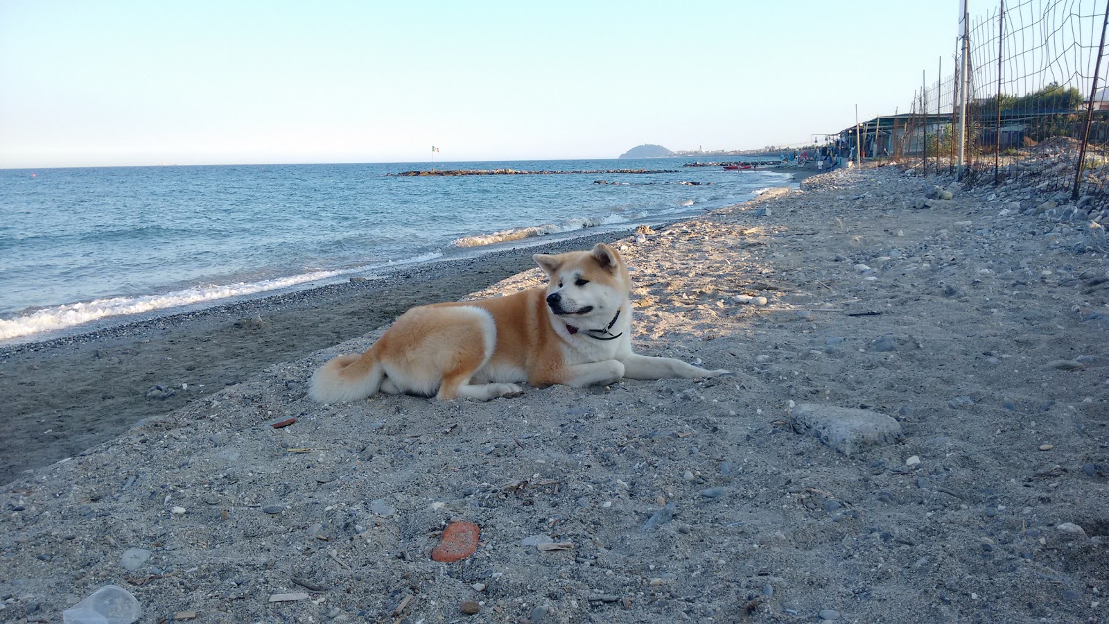 Ceriale dog beach的照片 便利设施区域