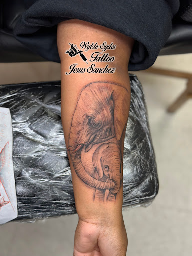 Explore female tattoos ideas, creative tattoo ideas in San Diego, available at Wylde Sydes Tattoo & Body Piercing