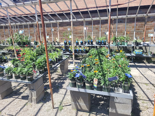 Plant Nursery «Goldner Walsh Garden and Home», reviews and photos, 559 Orchard Lake Rd, Pontiac, MI 48341, USA