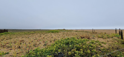 Dunes sauvages de Gavres à Quiberon à Erdeven