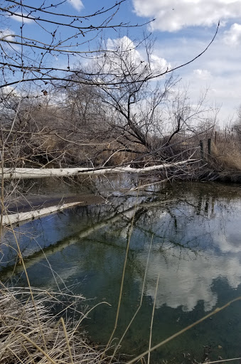 Nature Preserve «Wilson Springs Ponds», reviews and photos, 3209-3507 S Powerline Rd, Nampa, ID 83686, USA