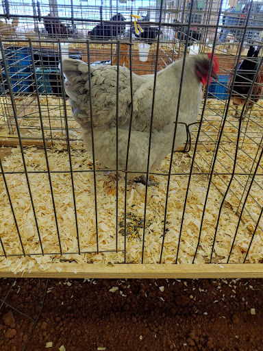 Insurance Company «Alexandria Mega Shelter», reviews and photos