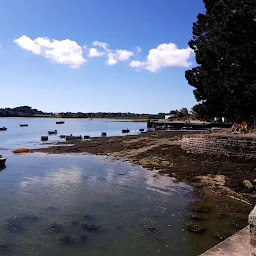 Photo n°124 de Les Viviers Du Ruault à Sarzeau ()