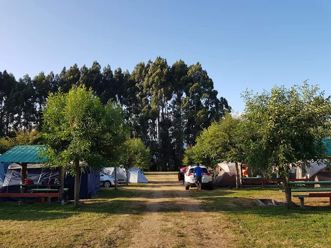 Opiniones de Camping El Mirador en Lago Ranco - Camping