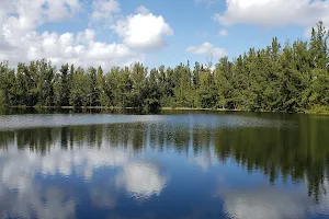 Silver Lakes Rotary Nature Park image