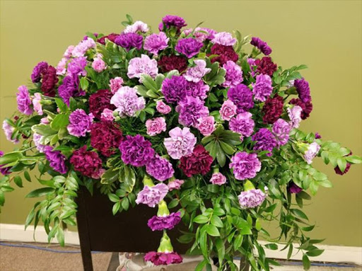 Florist «The Village Flower Shop», reviews and photos, 132 S Addison St, Bensenville, IL 60106, USA