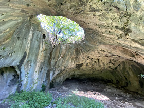 Пещерата с дървото - Ботуня