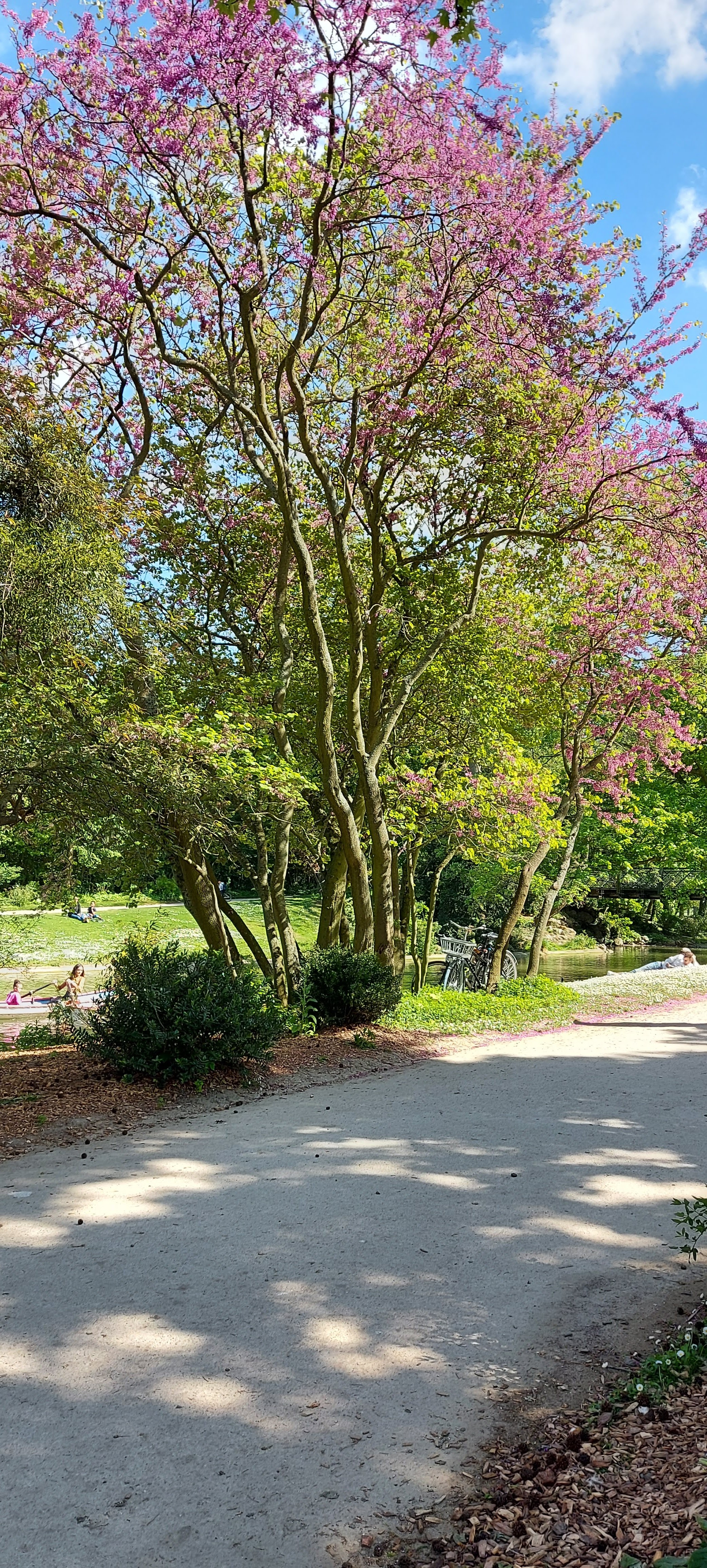 Photo n° 24 de l'avis de gwadilina.l fait le 12/05/2022 à 00:30