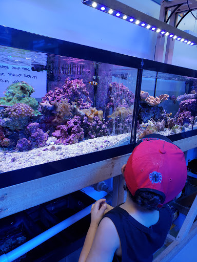 Tropical Fish Store «High Tide Aquarium», reviews and photos, 1140 Capital Cir SE # 11, Tallahassee, FL 32301, USA