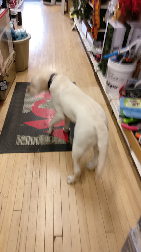 Hardware Store «Mayer Paint & Hardware», reviews and photos, 226 Winton Rd N, Rochester, NY 14610, USA