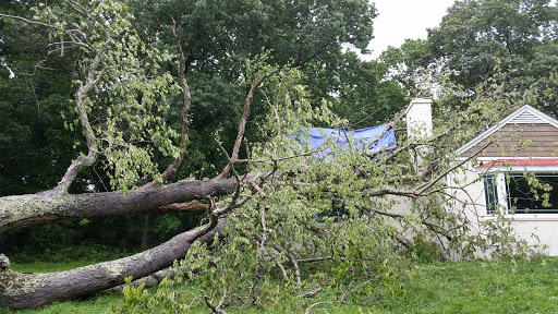 Insurance Agency «Dottrio, LLC - Public Adjusters - Insurance Appraisers», reviews and photos