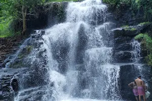 Paloor Kotta Waterfalls image