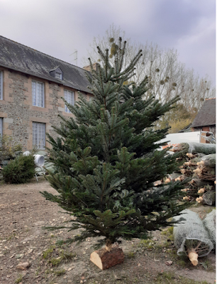 sapin de noel association à Billé