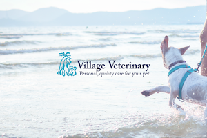 Village Veterinary
