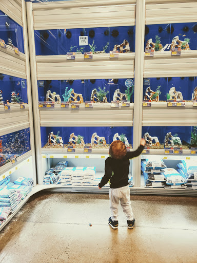 Pet Supply Store «PetSmart», reviews and photos, 9905 E Independence Blvd, Matthews, NC 28105, USA