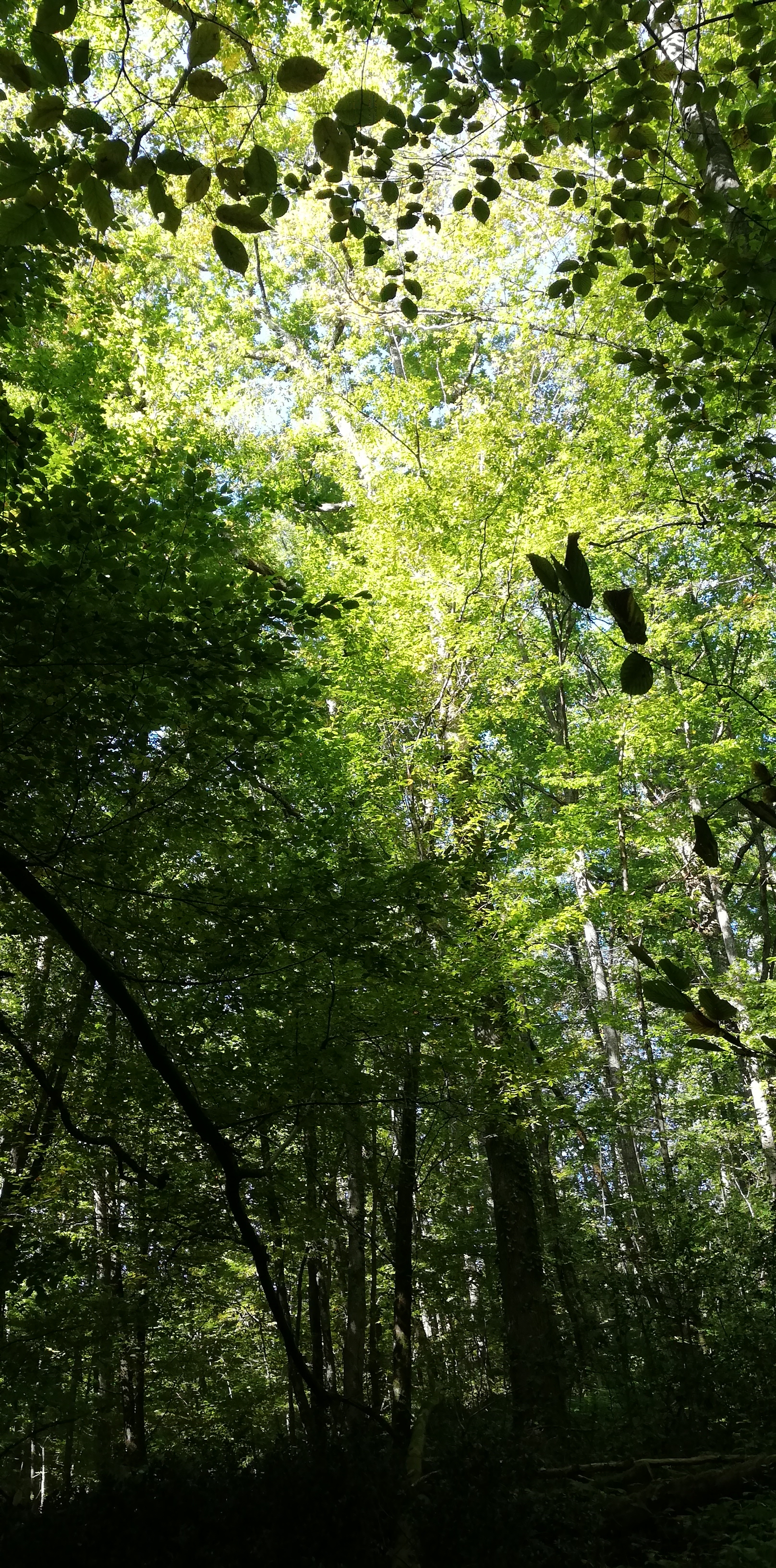 Photo n° 4 de l'avis de Marie.A fait le 02/11/2021 à 21:54