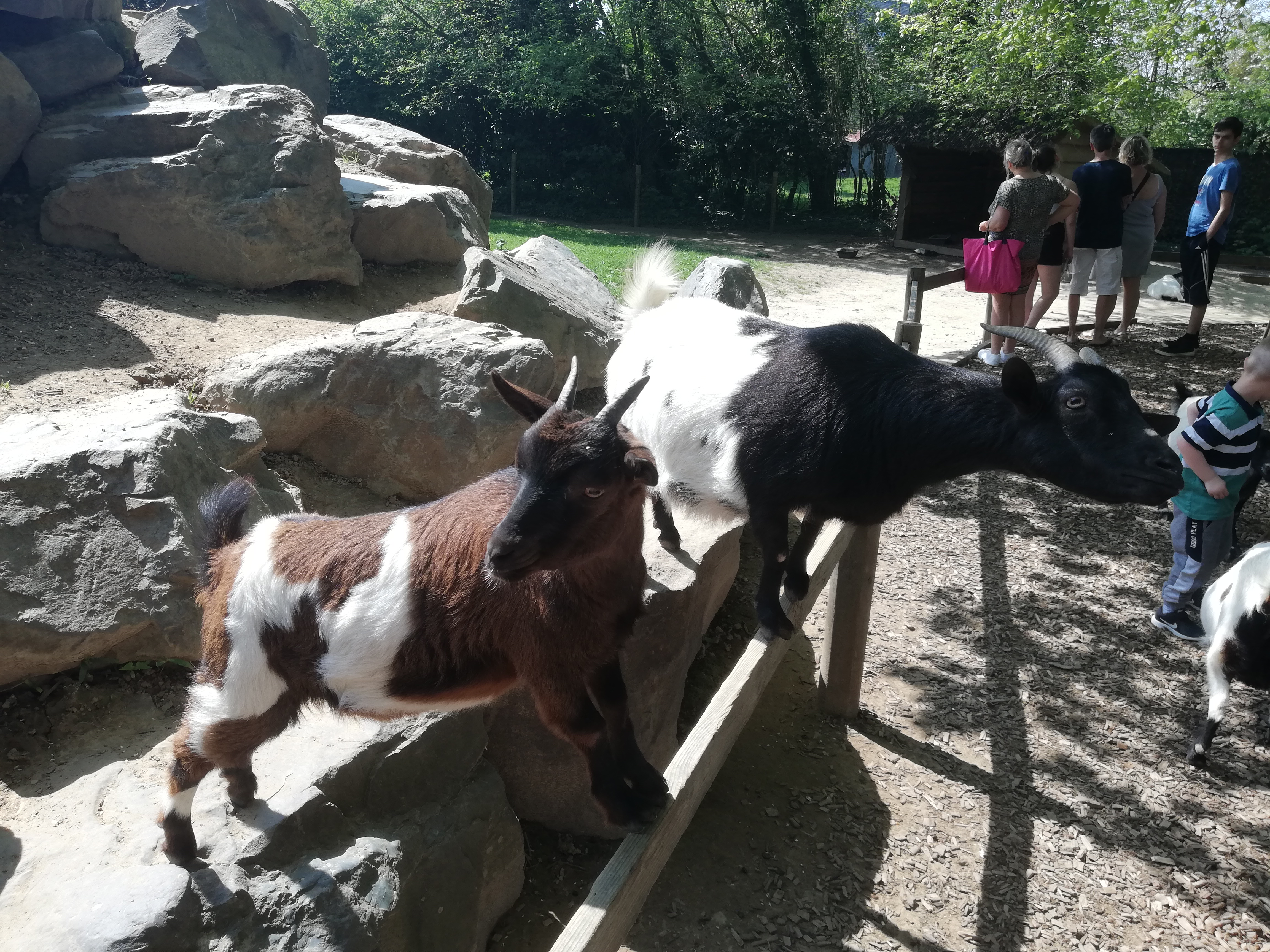Photo n° 18 de l'avis de Jérôme.z fait le 21/04/2019 à 16:31