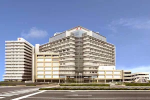 Japanese Red Cross Wakayama Medical Center image