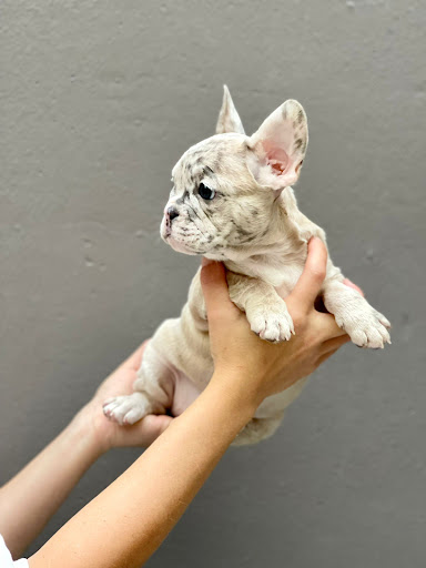 Clínica Veterinaria Valldaura en Barcelona