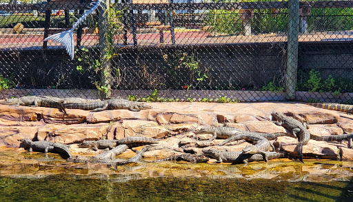 Miniature Golf Course «Golf N Gator», reviews and photos, 6355 N Atlantic Ave, Cape Canaveral, FL 32920, USA