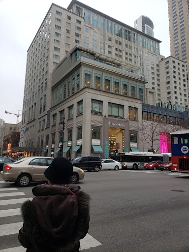 Jewelry Store «Tiffany & Co.», reviews and photos, 730 N Michigan Ave, Chicago, IL 60611, USA