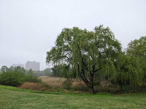 Park «Danehy Park», reviews and photos, 99 Sherman St, Cambridge, MA 02138, USA