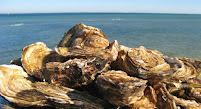 Photos du propriétaire du Restaurant de fruits de mer La cabane à huîtres à Cabourg - n°15