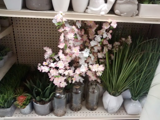 Discount Store «Big Lots», reviews and photos, 400 W Rollins Rd, Round Lake Beach, IL 60073, USA