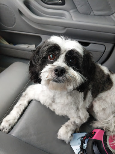 Pet Supply Store «PetSmart», reviews and photos, 625 W Crossville Rd, Roswell, GA 30075, USA