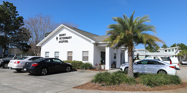 Barry Veterinary Hospital