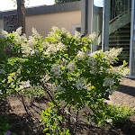 Photo n°5 de l'avis de Irene.o fait le 04/09/2020 à 21:11 sur le  Hotel Bollmannsruh am Beetzsee à Päwesin