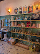 casanier _ déco & cadeaux Amiens