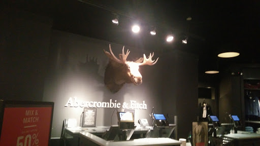Clothing Store «Abercrombie & Fitch», reviews and photos, 6800 N 95th Ave, Glendale, AZ 85305, USA
