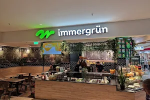 immergrün image