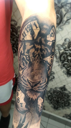 Tiger Studio - Barbearia e Tattoo - Entroncamento