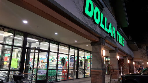 Dollar Store «Dollar Tree», reviews and photos, 6700 NE 162nd Ave, Vancouver, WA 98682, USA