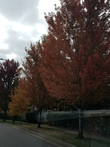 Golf Course «Raccoon Creek Golf Course», reviews and photos, 7301 W Bowles Ave, Littleton, CO 80123, USA