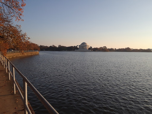 Library «National Gallery of Art Library», reviews and photos, 4th St NW, Washington, DC 20565, USA