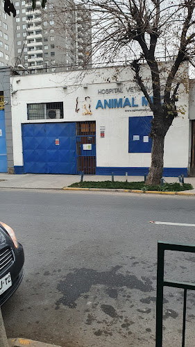 Hospital Veterinario Animal Med - Veterinario