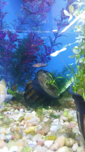 Pet Supply Store «Pet Supplies Plus», reviews and photos, 5050 S Federal Blvd #25a, Englewood, CO 80111, USA