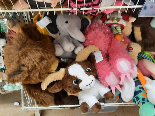 Thrift Store «Savers», reviews and photos, 4849 Central Ave NE, Columbia Heights, MN 55421, USA